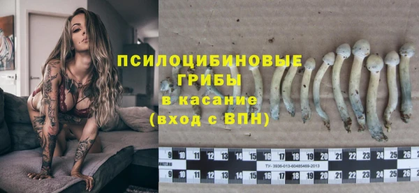 скорость Заводоуковск