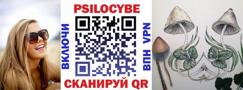 Псилоцибиновые грибы ЛСД  Купить закладки  Плавск 
